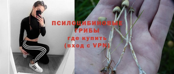 спиды Ладушкин