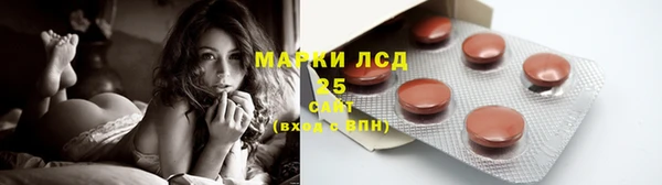индика Навашино