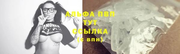 спиды Ладушкин