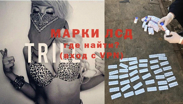 гашик Нея