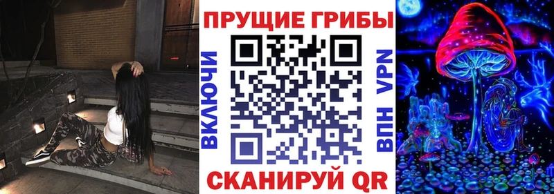 Галлюциногенные грибы мицелий  дарк нет Telegram  Шумиха 